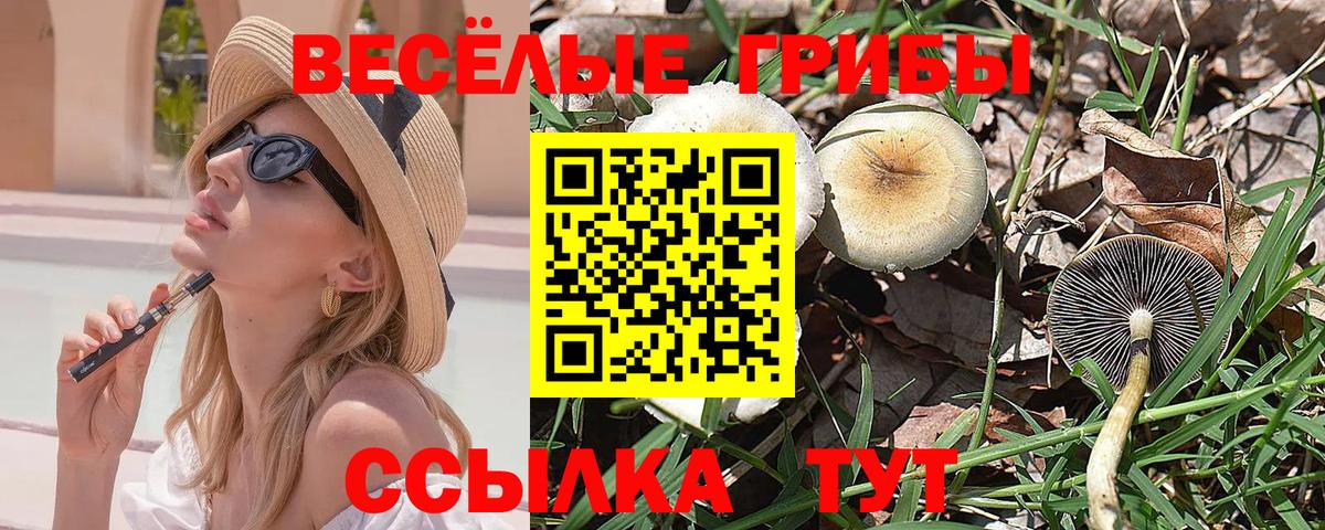 Лыткарино  Псилоцибиновые грибы GOLDEN TEACHER  Вход с VPN 